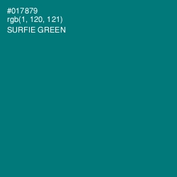 #017879 - Surfie Green Color Image